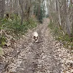 By Interhome Σπίτι διακοπών