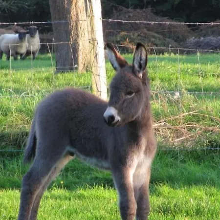 Holiday home L'etable D'emile - Stall Von Emile By Interhome *