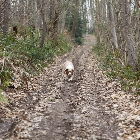 L'etable D'emile - Stall Von Emile By Interhome Holiday home