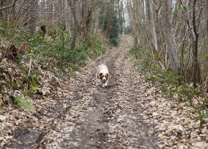 L'etable D'emile - Stall Von Emile By Interhome Holiday home